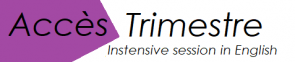 Trimestre logo purple